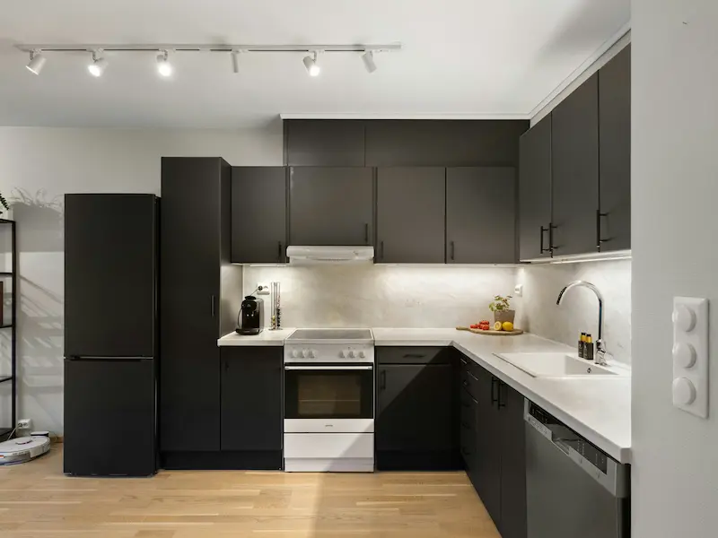Black Kitchen Cabinets 