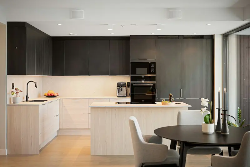 Black Kitchen Cabinets